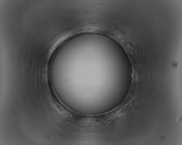 X0000091070244200708271221