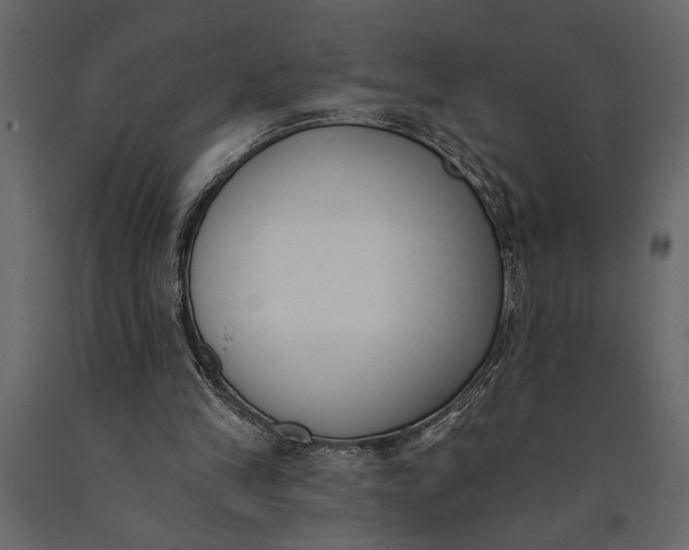 X0000091070245200708271221