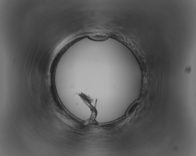 X0000091070246200708271221
