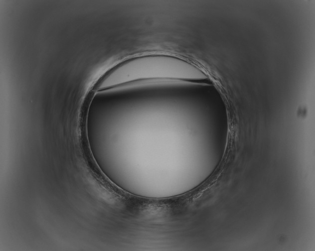 X0000091070248200708271221