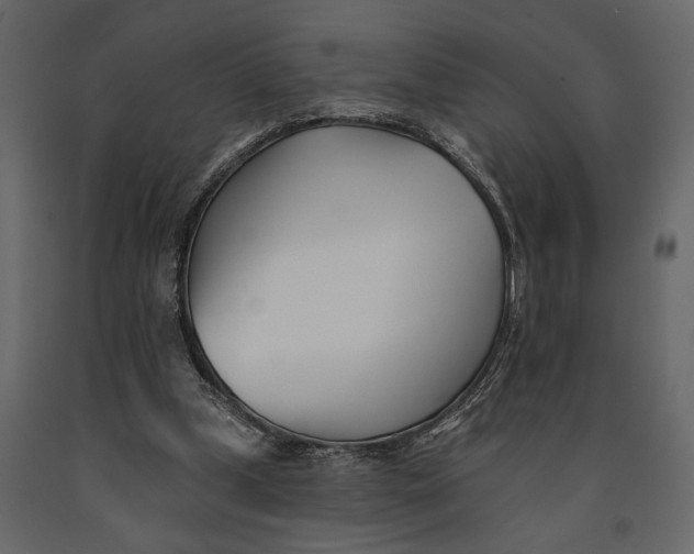 X0000091070249200708271221