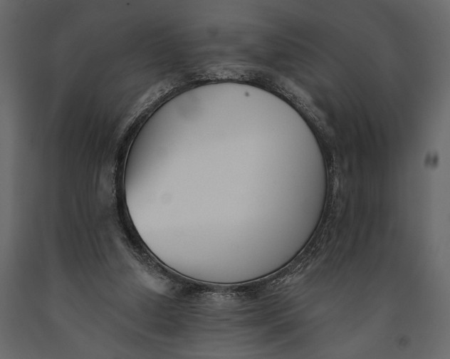 X0000091070250200708271221