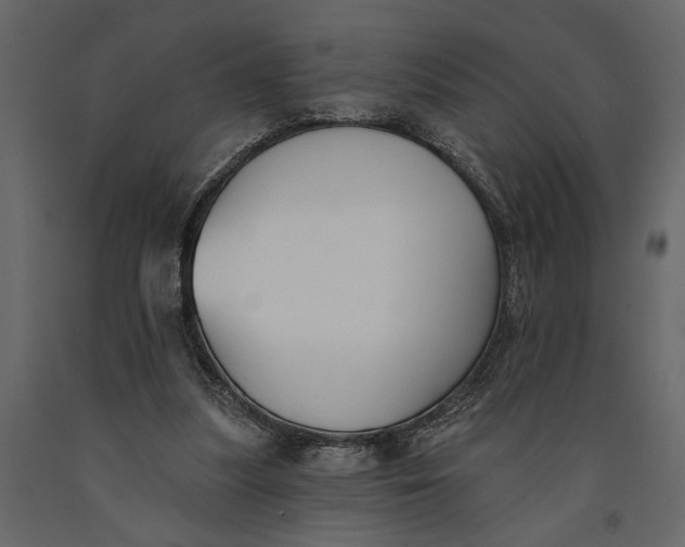 X0000091070251200708271221