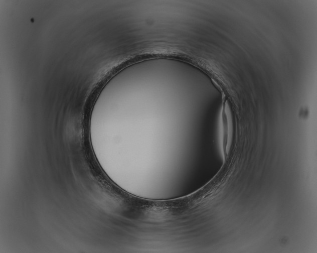 X0000091070252200708271221