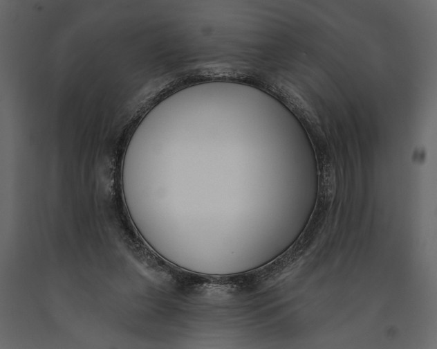 X0000091070255200708271222