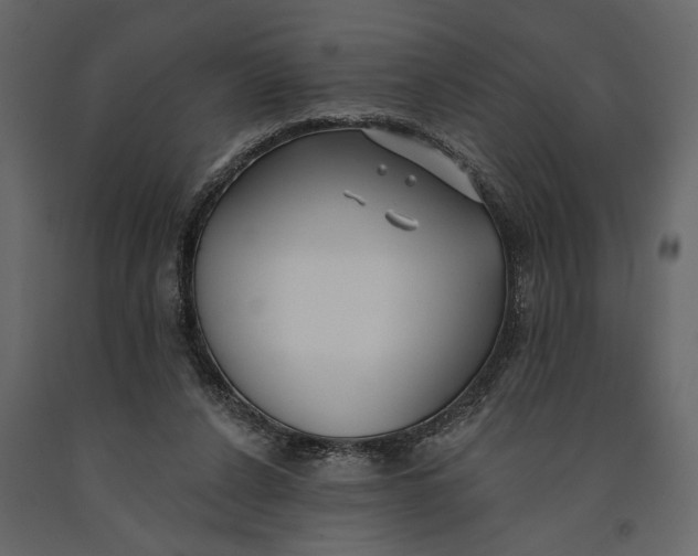 X0000091070256200708271222