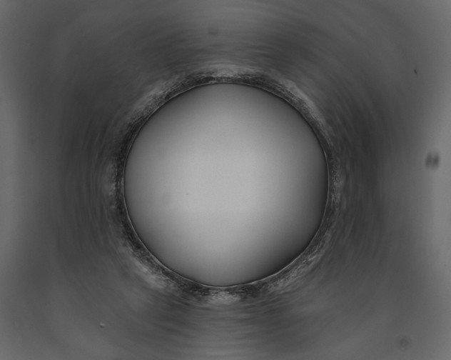 X0000091070257200708271222