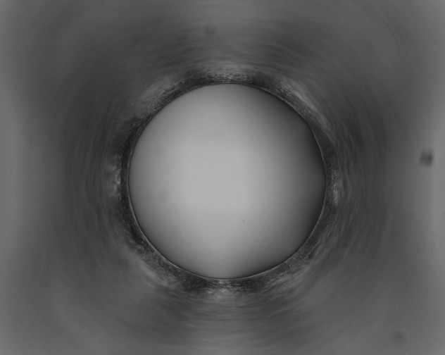 X0000091070259200708271222