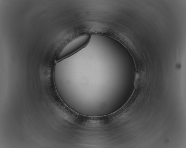 X0000091070260200708271222
