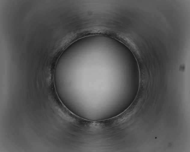 X0000091070261200708271222