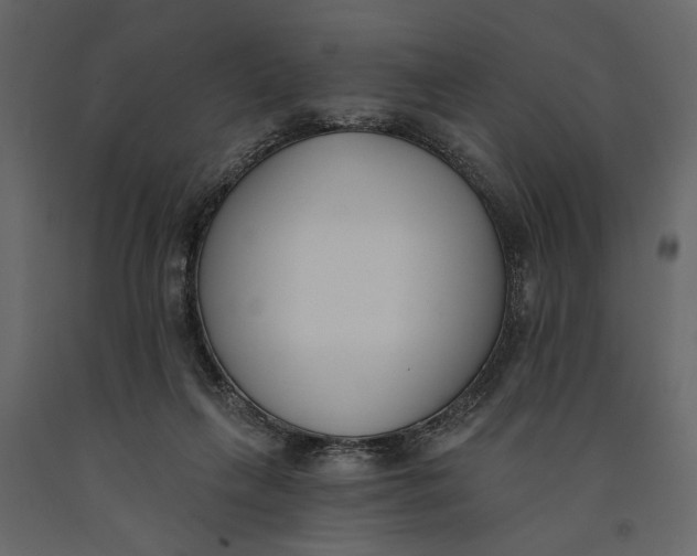 X0000091070263200708271222