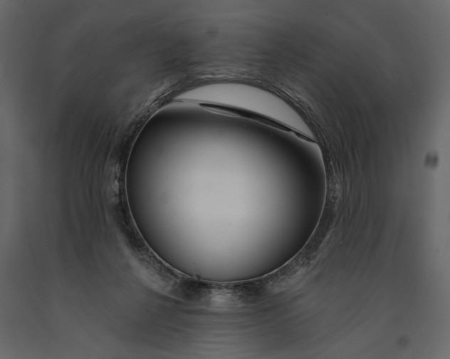 X0000091070264200708271222