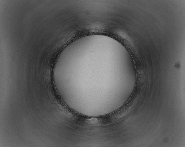 X0000091070269200708271222