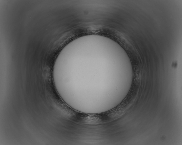 X0000091070270200708271222