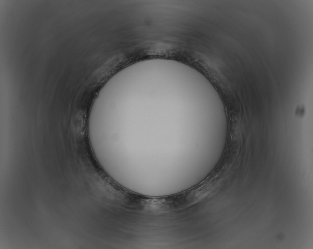 X0000091070273200708271222