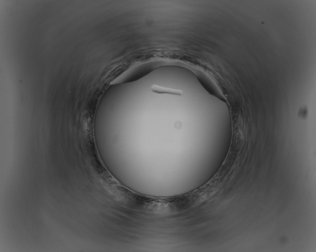 X0000091070276200708271222