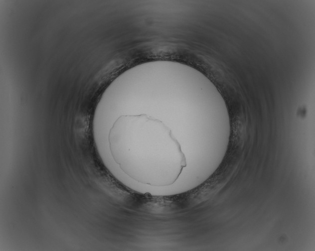 X0000091070278200708271222