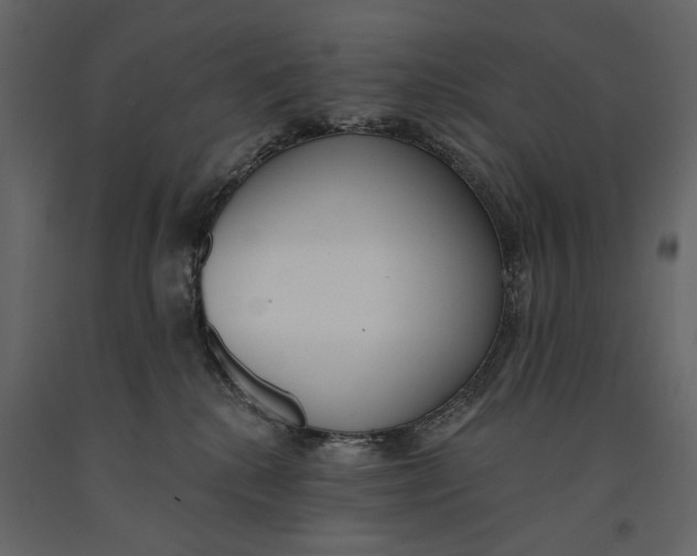 X0000091070280200708271222