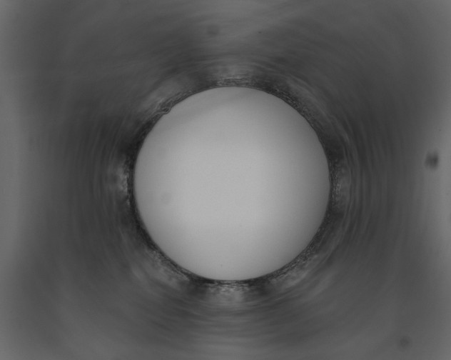 X0000091070282200708271222
