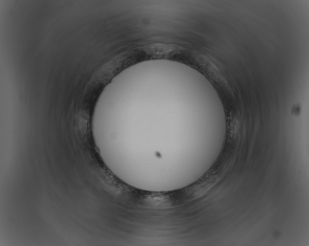X0000091070283200708271222