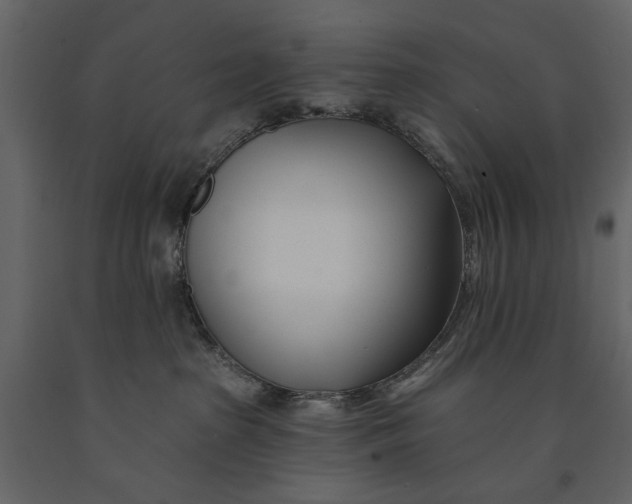 X0000091070285200708271222