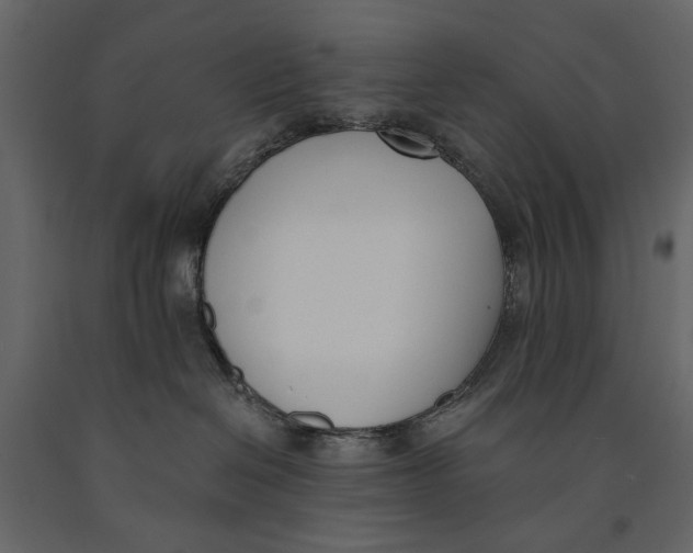 X0000091070286200708271222