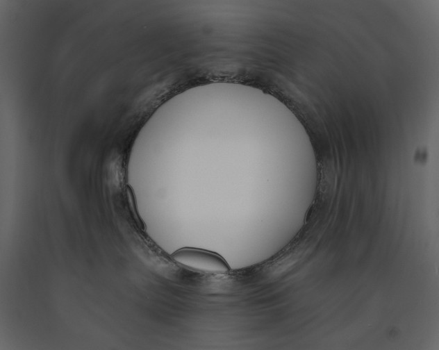 X0000091070287200708271222