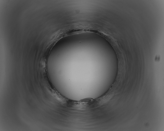 X0000091070288200708271222