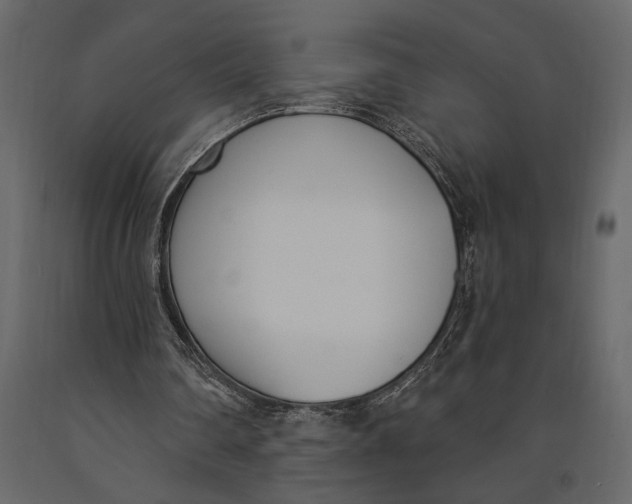 X0000091070290200708271221