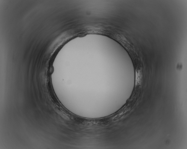 X0000091070291200708271221