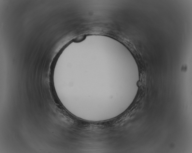 X0000091070292200708271221
