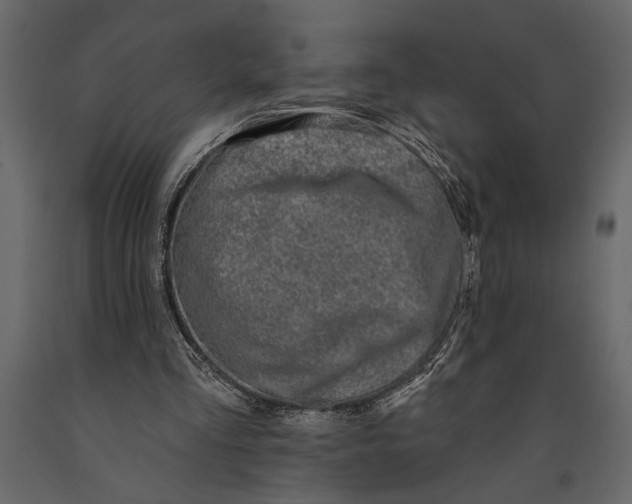 X0000091070293200708271221