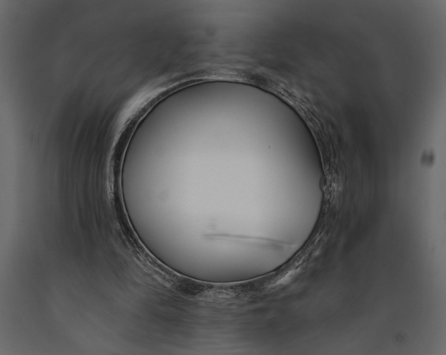 X0000091070294200708271221
