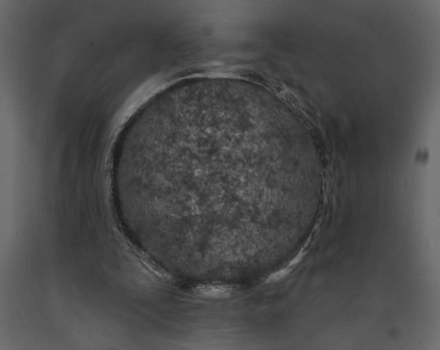 X0000091070295200708271221