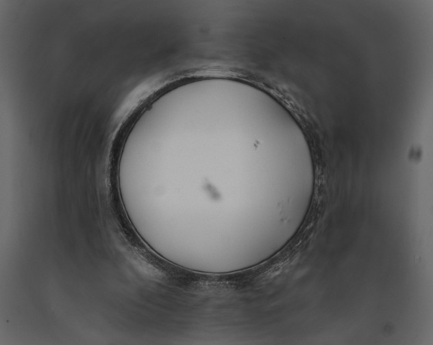 X0000091070296200708271221
