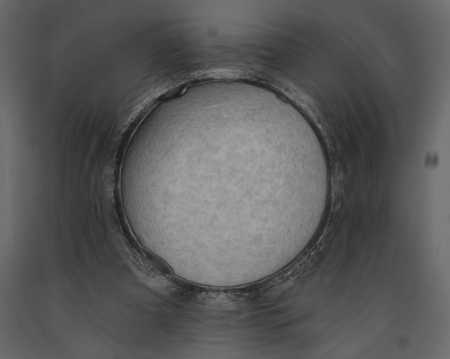 X0000091070297200708271221