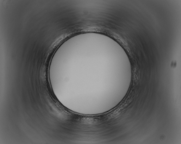 X0000091070298200708271221