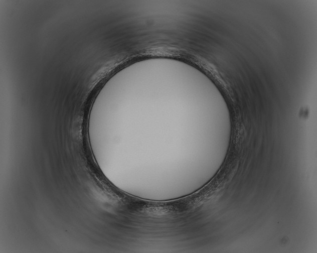 X0000091070299200708271221