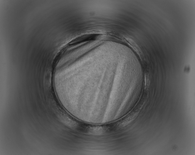 X0000091070301200708271221