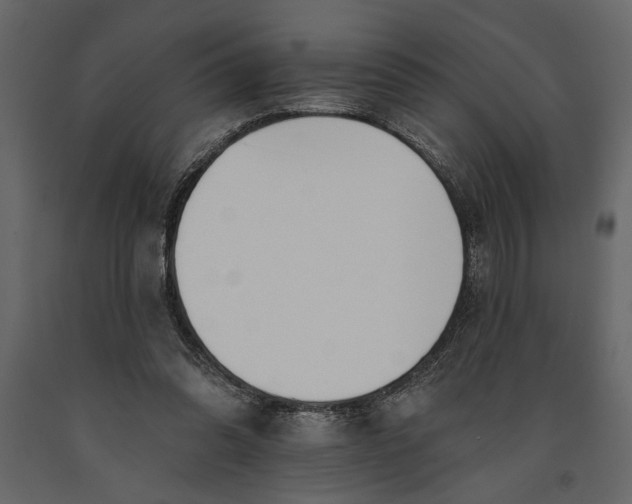 X0000091070302200708271221