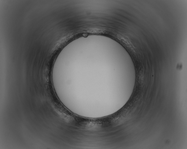 X0000091070303200708271221