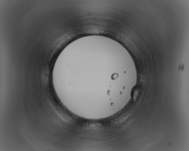 X0000091070304200708271221