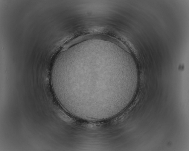 X0000091070305200708271221