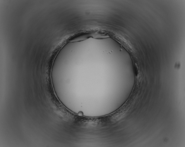 X0000091070306200708271221