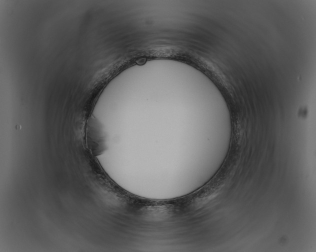 X0000091070307200708271221