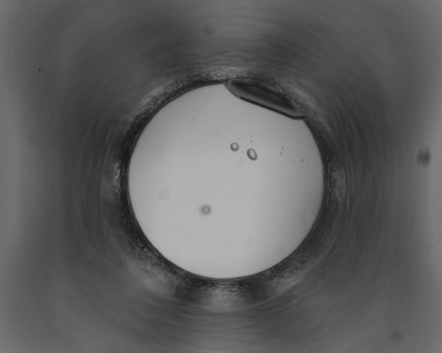 X0000091070308200708271221