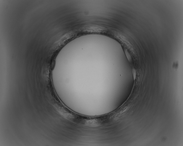 X0000091070309200708271221