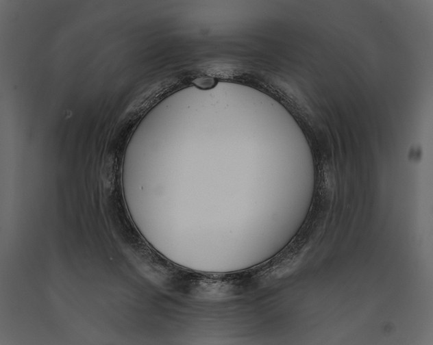 X0000091070311200708271221