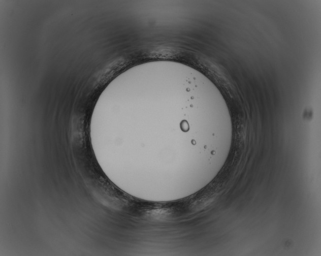 X0000091070312200708271221