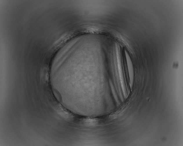 X0000091070313200708271221